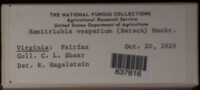 Image Associated With the Occurence